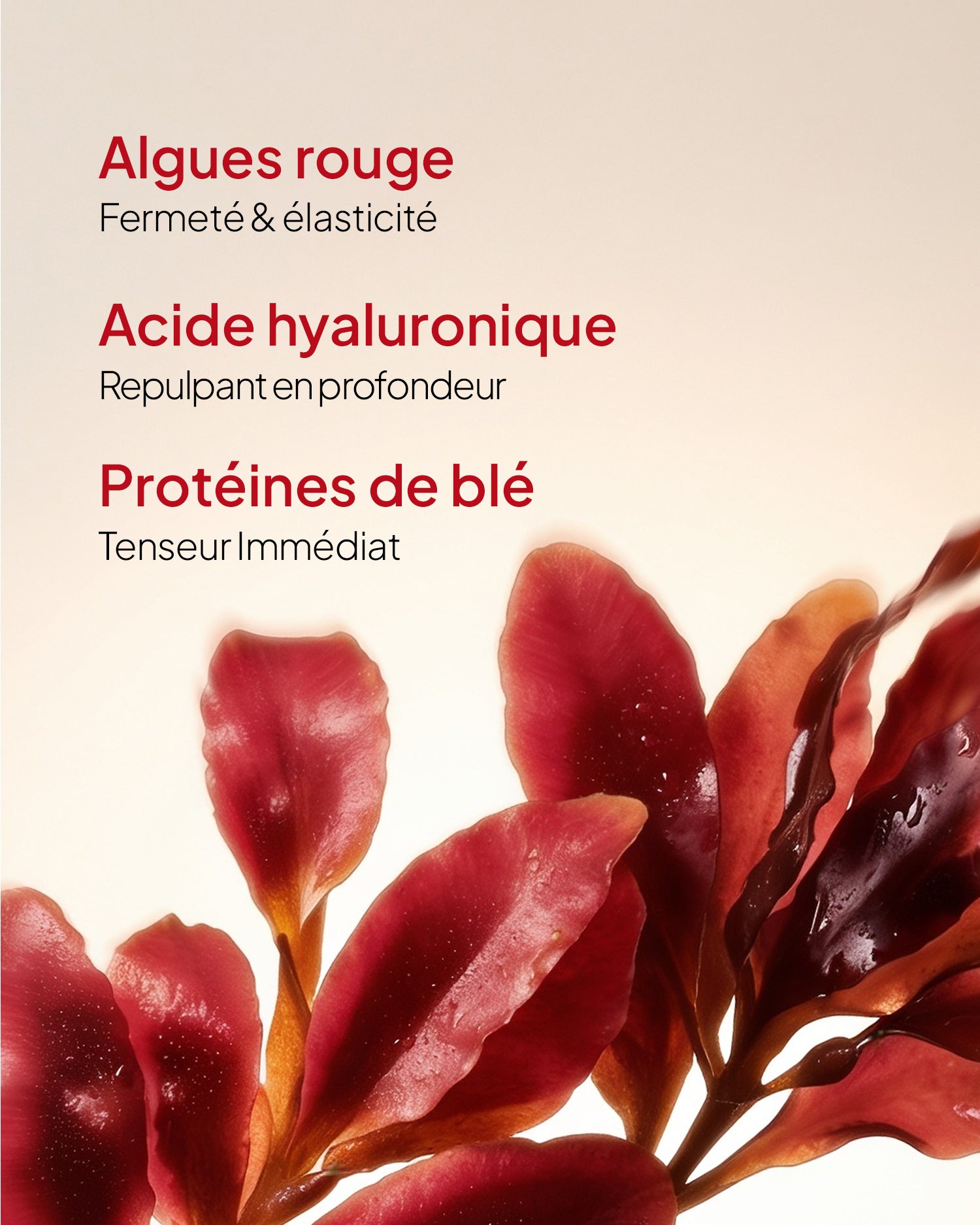 LIFT INTENSE