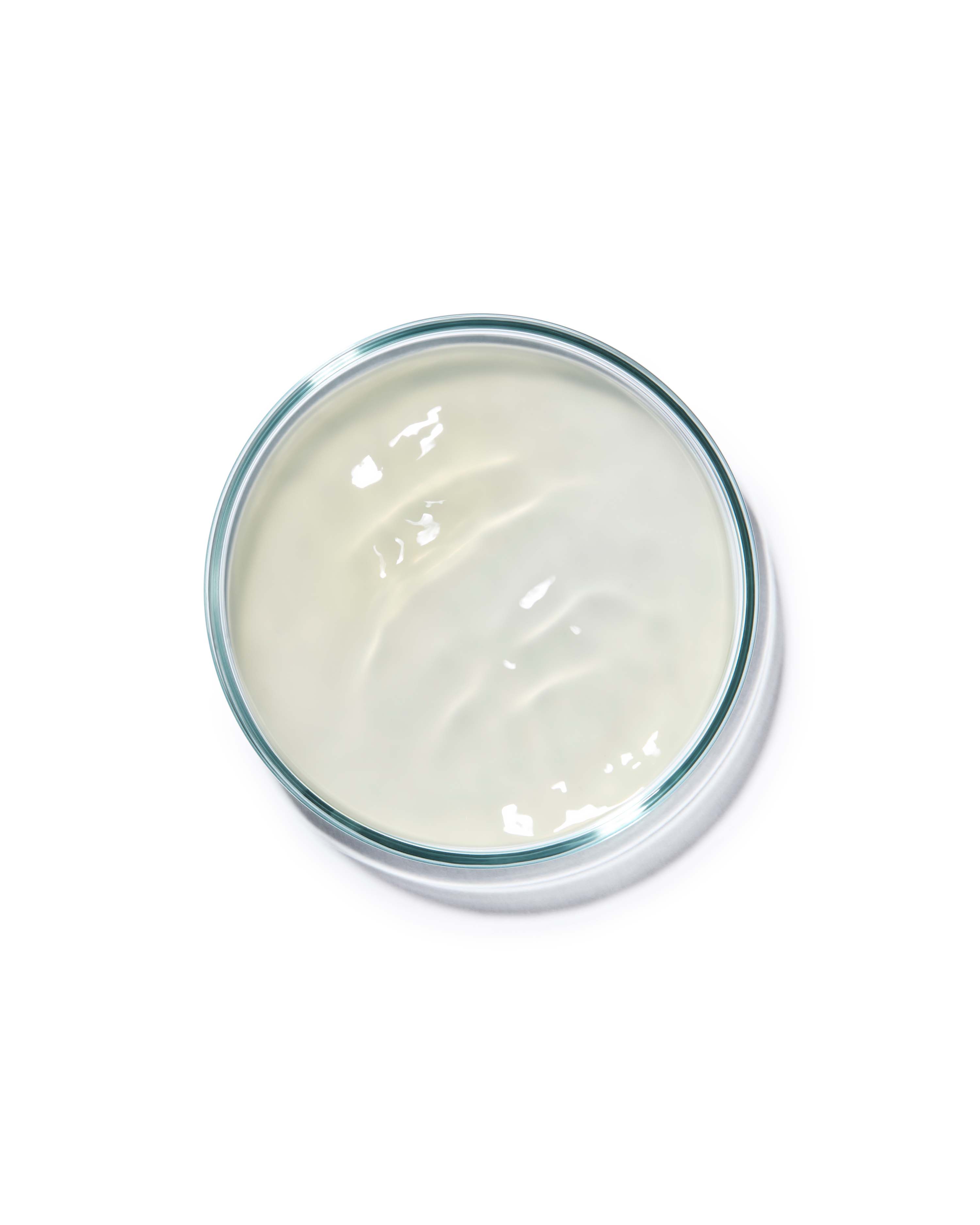 REPULPE COLLAGENE